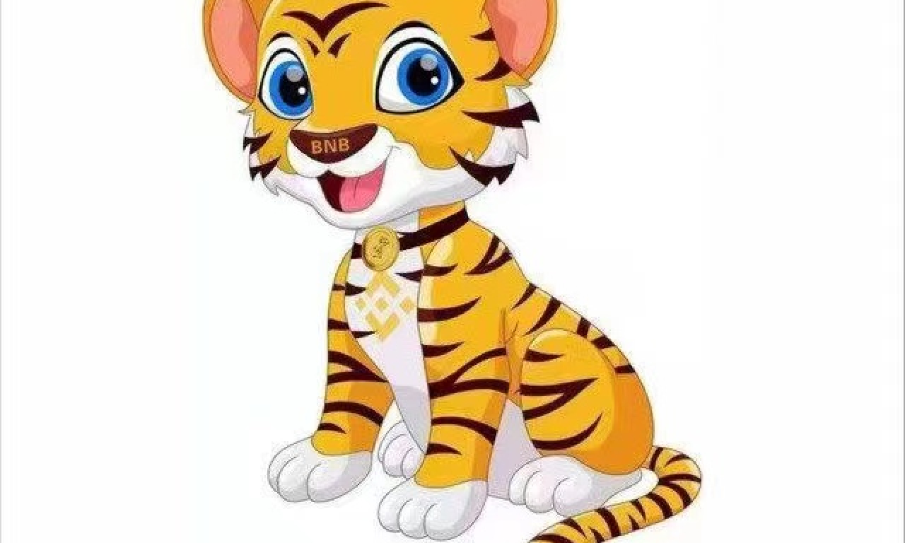 BNBTiger